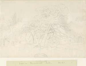 Beaudesert Park: desenho a lápis, nd [1788-1855]
