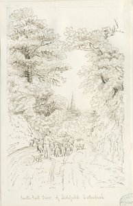 Catedral de Lichfield - Vista Sudeste (distante): desenho a caneta, sd [19º séc.] (Desenho)