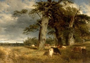Paisagem, em, a, Dukeries, nottinghamshire, 1850