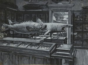 Vista interior do Museu Britânico mostrando a galeria de exposições de peixe, c.1880 (lavagem e corpórea sobre papel) de Henry Edward Tidmarsh
