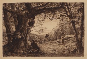 Na encosta de Henry Farrer