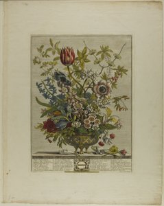 Fevereiro, de Doze Meses de Flores de Henry Fletcher