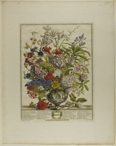 Julho, de Doze Meses de Flores de Henry Fletcher