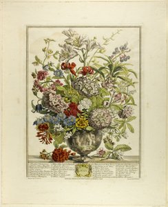 julho, de Doze meses de flores de Henry Fletcher