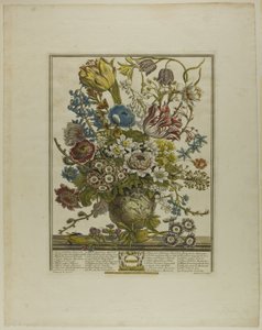 Março, de Doze Meses de Flores de Henry Fletcher