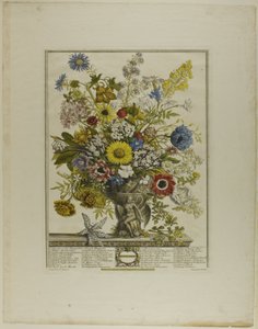 Novembro, de Doze Meses de Flores de Henry Fletcher