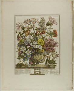 Outubro, de Doze Meses de Flores de Henry Fletcher