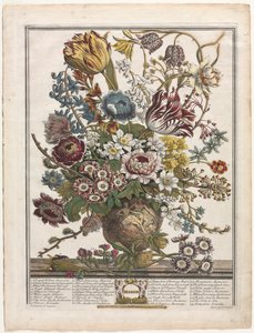 Doze meses de flores: março de 1730.