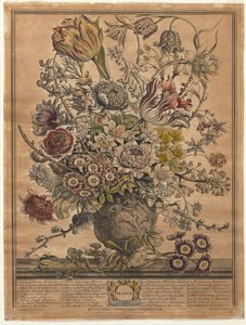 Doze meses de flores: março de 1730.