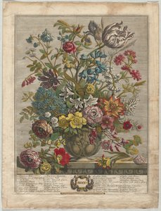 Doze Meses de Flores: Maio, 1730.