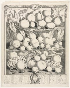 Doze meses de frutas: agosto de Henry Fletcher