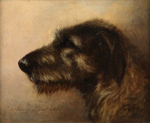 Campeão Clodagh de Ouborough, um Wolfhound Irlandês de Henry Frederick Lucas Lucas