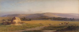 Pastagens das Colinas do Sul, 1867