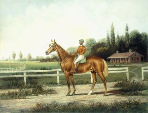 Um cavalo de corrida da castanha com Jockey Up em uma pista de treinamento com estábulos além,