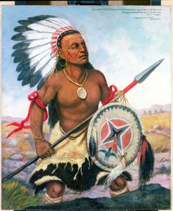 Retrato do cavalo louco, 1876