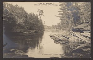 Os estreitos Dells do Wisconsin de Henry Hamilton Bennett