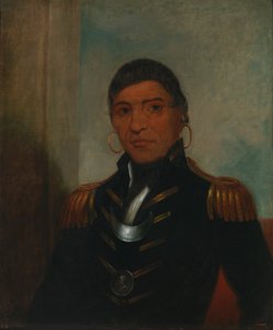 Búfalo Grande (Chippewa) de Henry Inman