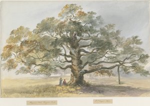 Blithfield - Carvalho Mendigo: pintura a cores de água, 1844