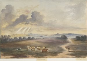 Cannock Chase - "Heath": pintura em aquarela, 1844
