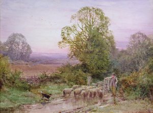 Herding the Sheep (aguarela)