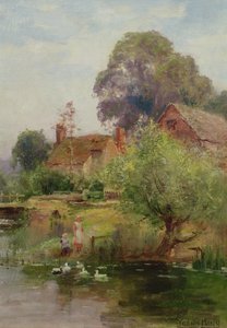 The Duck Pond