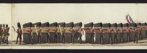 Parte da visão panorâmica de toda a procissão fúnebre de Arthur, Duque de Wellington (aquatinta colorida) de Henry Jr and Sala Alken