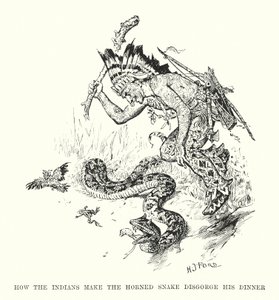 Como os índios fazem a cobra chifruda vomitar o seu jantar (gravura) de Henry Justice Ford