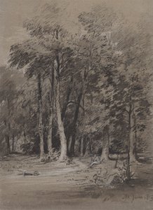 Um trilho arborizado de Henry Monro