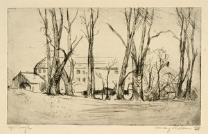 Edifício semelhante a um hospital visto entre grandes árvores de Henry Nielsen
