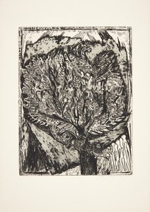 O laço. Paisagem de dunas com sinal de Henry Nielsen