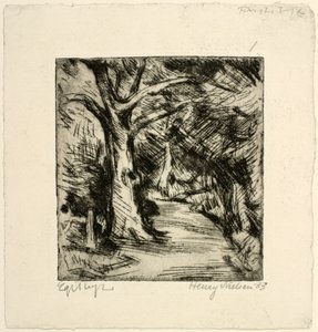 Estrada da floresta. floresta de Rii de Henry Nielsen