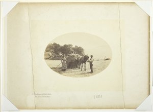 Nas encostas de Cader-Idris, a última carga de feno de Henry Peach Robinson