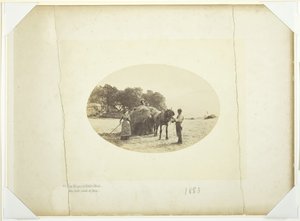 Nas encostas de Cader-Idris, The Last Load of Hay, 1883. de Henry Peach Robinson