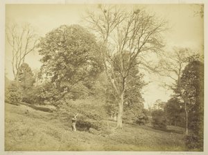Tiro de Torre de Henry Peach Robinson