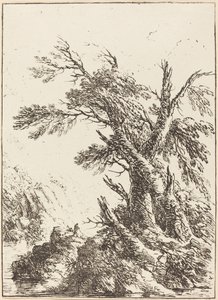 Paisagem com árvores antigas por água de Henry Richard Greville, 3rd earl of Warwick