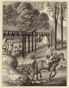Atirando na bunda, data 1496 de Henry Shaw