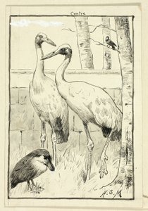 Quatro aves na paisagem