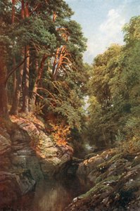 A Wooded Gorge, Killin, Perthshire (litografia a cores) de Henry Sutton Palmer