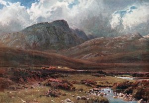 Crags near Poolewe, Ross-Shire (litografia a cores) de Henry Sutton Palmer