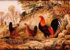 Cockerel, Galinhas e Pintos de Henry Thomas Alken