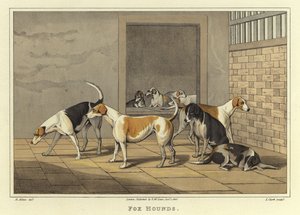 Fox Hounds (cromolitho) de Henry Thomas Alken