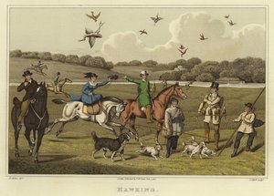 Hawking (cromolitho) de Henry Thomas Alken