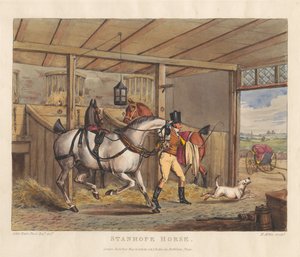 Cavalos [série de seis]: 2. cavalo Stanhope de Henry Thomas Alken