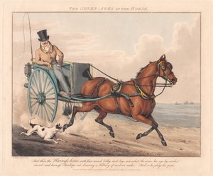Conjunto de sete: As sete idades do cavalo de Henry Thomas Alken