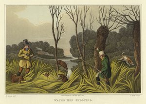 Tiro de galinha da água (chromolitho)