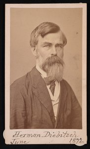 Retrato de Herman Henry Diebitsch 1818-1883, 1871. de Henry Ulke