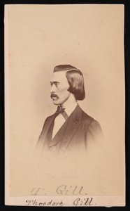 Retrato de Theodore Nicholas Gill 1837-1914, entre 1865 e 1870. de Henry Ulke
