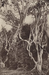 As cidades em ruínas do Ceilão: Kotuwa (foto B/W)