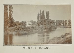 Ilha dos Macacos de Henry W. Taunt