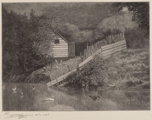 Um lago de patos de Henry Wolf